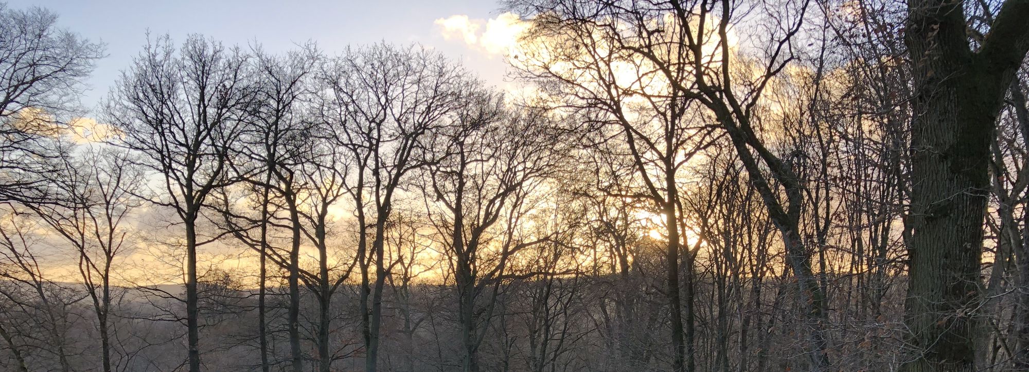 Jagd Und Hund 2019 Eindrucke Einer Jagdmesse Waidmeise Huntings Webseite